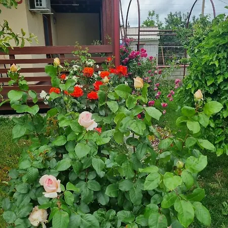 Casa Luca 2 Privatunterkunft Vama Veche