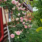Casa Luca 2 Vama Veche