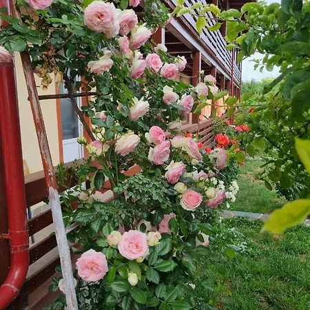 Casa Luca 2 Вама-Веке